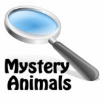 Mystery Animals